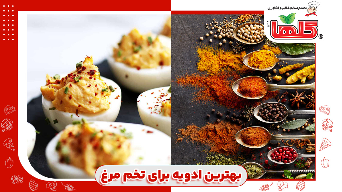 بهترین ادویه برای تخم مرغ